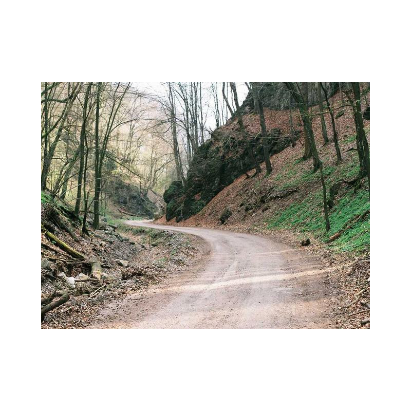 Intelligent Leather Shirt fr-FR